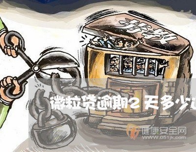 微粒贷逾期2天多少违约金/2023060500470