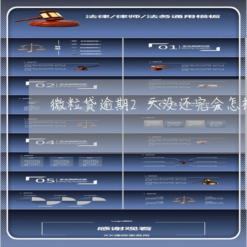 微粒贷逾期2天没还完会怎样/2023060828159