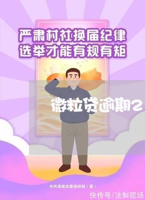 微粒贷逾期2天还能借吗/2023061905905