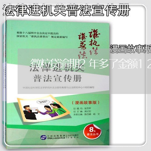 微粒贷逾期2年多了金额12万多/2023060526240