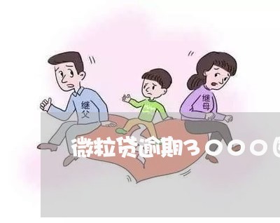 微粒贷逾期3000图片 微粒贷逾期3000图片