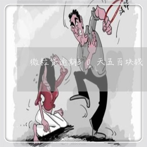 微粒贷逾期30天五百块钱 微粒贷逾期30天五百块钱