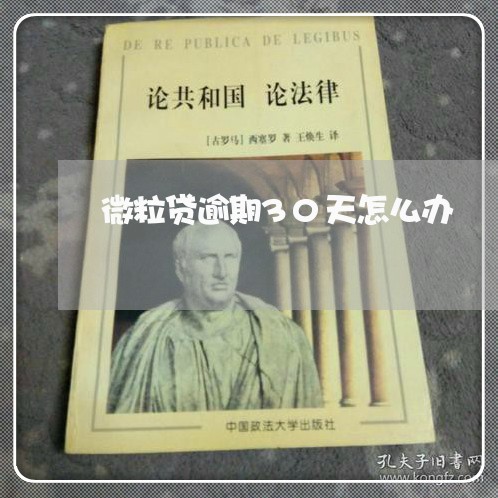 微粒贷逾期30天怎么办/2023061949361