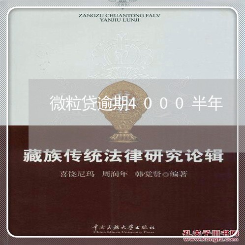 微粒贷逾期4000半年 微粒贷逾期4000半年