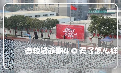 微粒贷逾期40天了怎么样 微粒贷逾期40天了怎么样