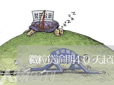 微粒贷逾期40天起诉我/2023061983826