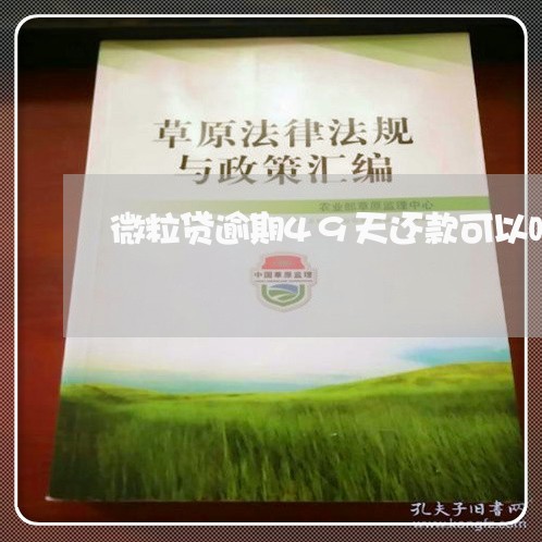 微粒贷逾期49天还款可以吗/2023103117472