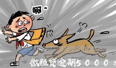 微粒贷逾期5000利息