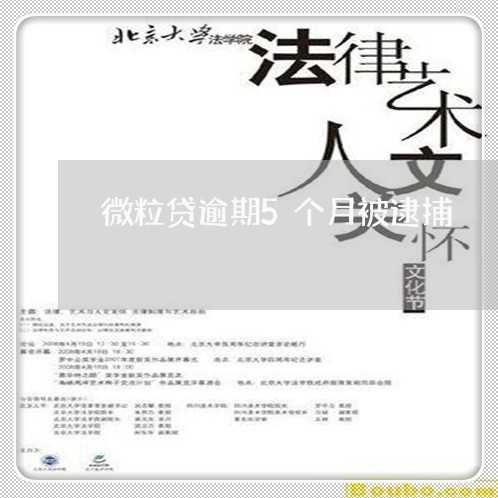 微粒贷逾期5个月被逮捕/2023091350673