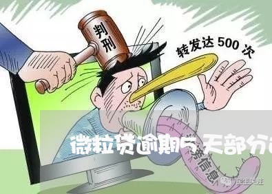 微粒贷逾期5天部分还款/2023062016149