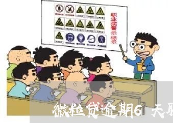 微粒贷逾期6天联系家人/2023061940581