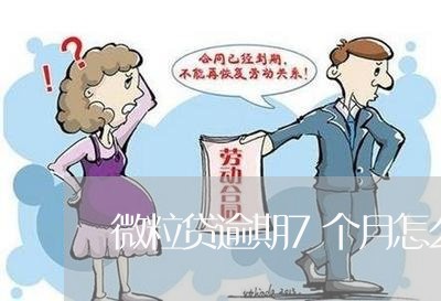 微粒贷逾期7个月怎么处理 微粒贷逾期7个月怎么处理
