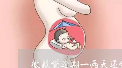 微粒贷逾期一两天还能借用吗/2023091304947