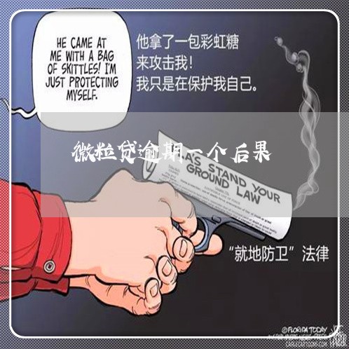 微粒贷逾期一个后果/2023021872691