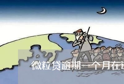 微粒贷逾期一个月在还/2023091338368