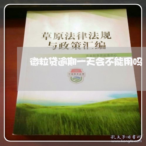 微粒贷逾期一天会不能用吗/2023091346371