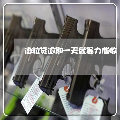 微粒贷逾期一天就暴力催收 微粒贷逾期一天就暴力催收