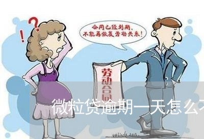 微粒贷逾期一天怎么不能贷款了