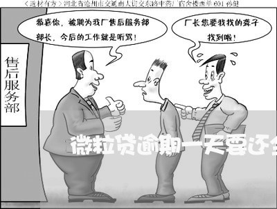 微粒贷逾期一天要还全额吗/2023011761895 微粒贷逾期一天要还全额吗/2023011761895