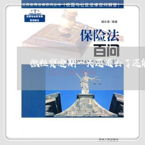 微粒贷逾期一天还进去了还能借吗