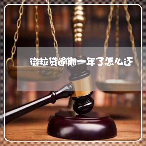 微粒贷逾期一年了怎么还 微粒贷逾期一年了怎么还