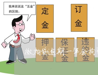 微粒贷逾期一年会拘留吗 微粒贷逾期一年会拘留吗