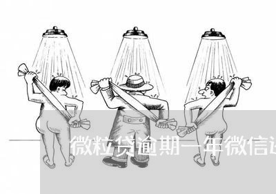 微粒贷逾期一年微信还能用 微粒贷逾期一年微信还能用