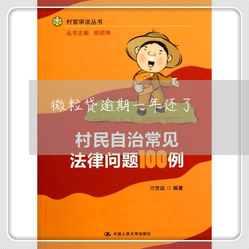 微粒贷逾期一年还了
