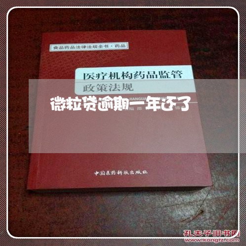 微粒贷逾期一年还了/2023020500594