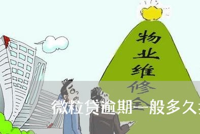 微粒贷逾期一般多久扣款/2023061991716