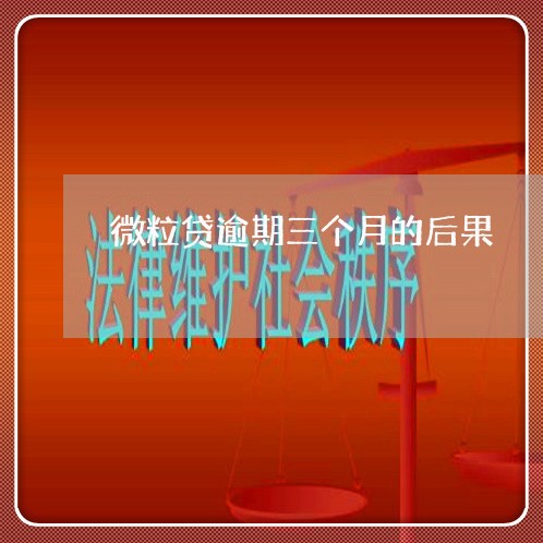 微粒贷逾期三个月的后果/2023091326192