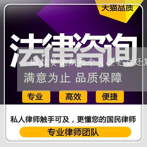 微粒贷逾期两个月还完后还能用吗/2023062962671