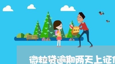 微粒贷逾期两天上征信多久能消除/2023032584706