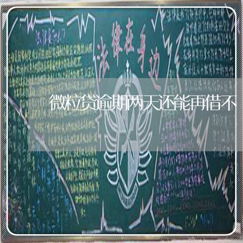 微粒贷逾期两天还能再借不