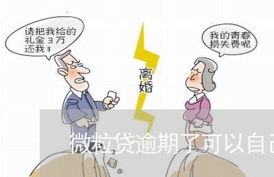 微粒贷逾期了可以自己还么