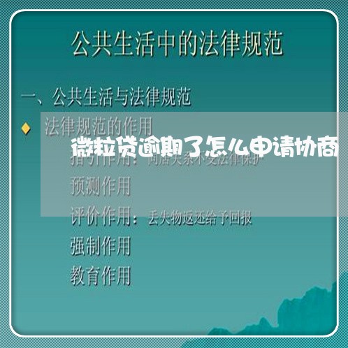 微粒贷逾期了怎么申请协商/2023060410591