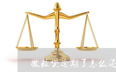 微粒贷逾期了怎么还能借到钱/2023091339279