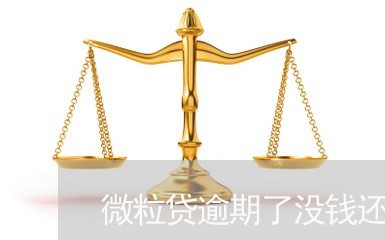 微粒贷逾期了没钱还怎么办/2023042220392