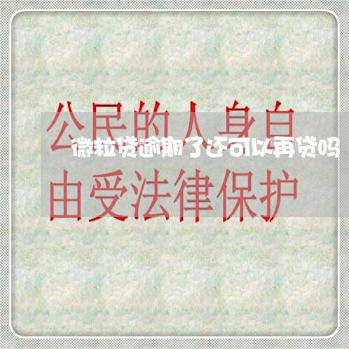 微粒贷逾期了还可以再贷吗