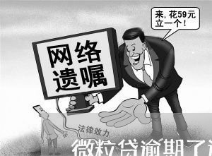 微粒贷逾期了还款有效吗/2023061948391