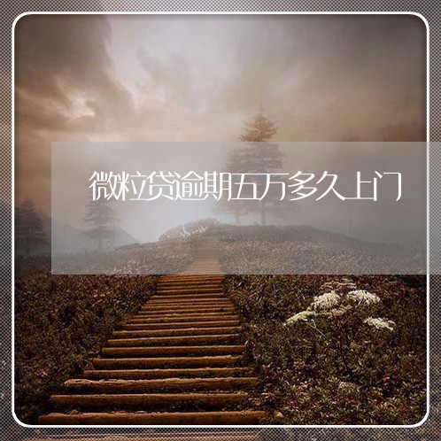 微粒贷逾期五万多久上门 微粒贷逾期五万多久上门