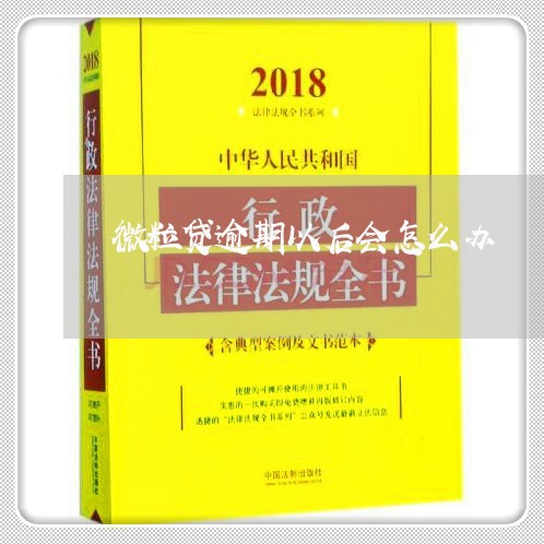 微粒贷逾期以后会怎么办/2023022710702