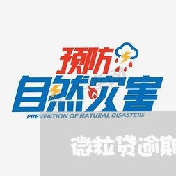 微粒贷逾期会扣/2023013155279