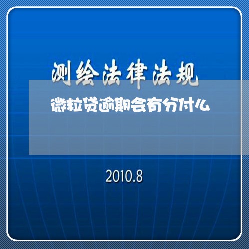 微粒贷逾期会有分付么/2023031870593