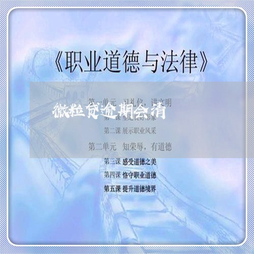 微粒贷逾期会清/2023071413857