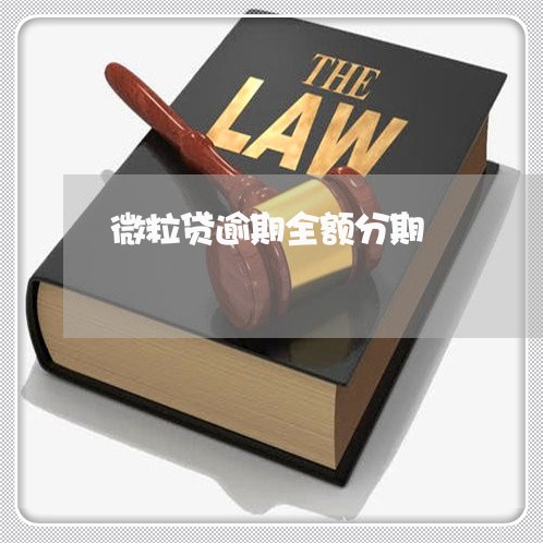 微粒贷逾期全额分期