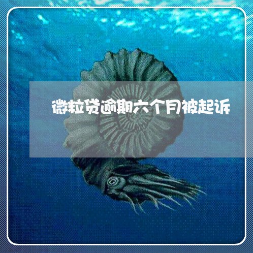微粒贷逾期六个月被起诉 微粒贷逾期六个月被起诉