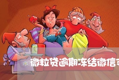 微粒贷逾期冻结微信支付/2023022729774