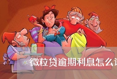 微粒贷逾期利息怎么计算/2023062007960