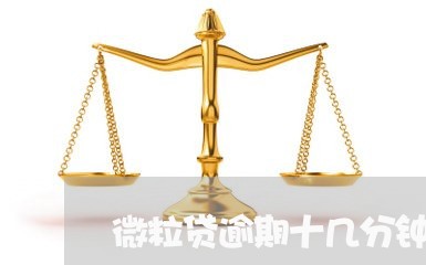 微粒贷逾期十几分钟怎么办/2023091348820